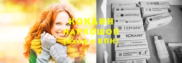 apvp Каменногорск