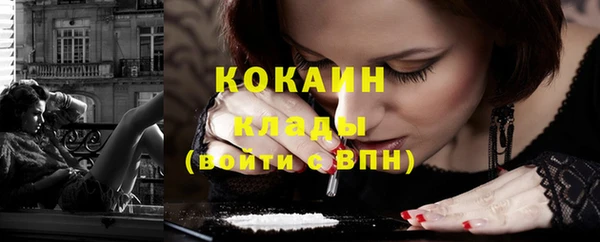 apvp Каменногорск