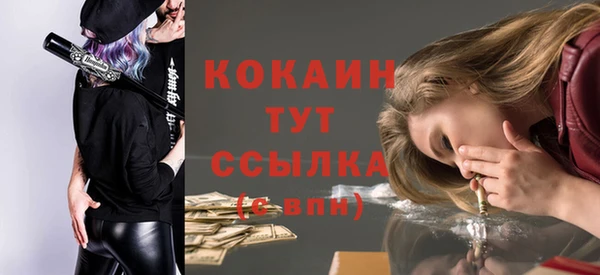 apvp Каменногорск