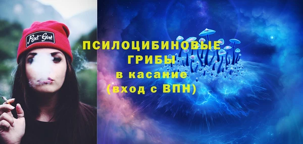 mdma Каменка