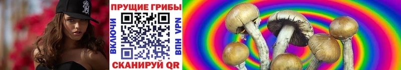 Псилоцибиновые грибы Magic Shrooms  Купить закладки  Белозерск 