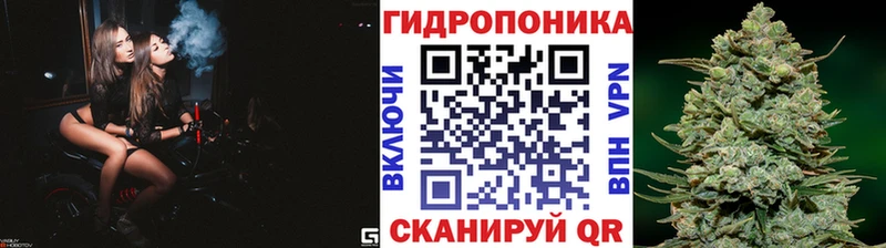 Марихуана OG Kush  Купить закладки  Белозерск 